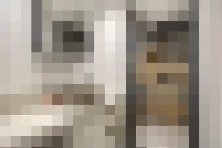 Wilgenhoek 43 Capelle aan den IJssel thumbnail 4