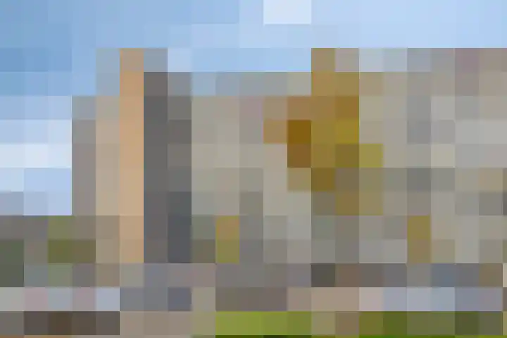 Wilgenhoek 43 Capelle aan den IJssel thumbnail 6