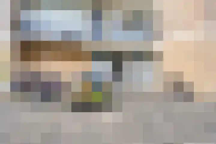Wilgenhoek 43 Capelle aan den IJssel thumbnail 7