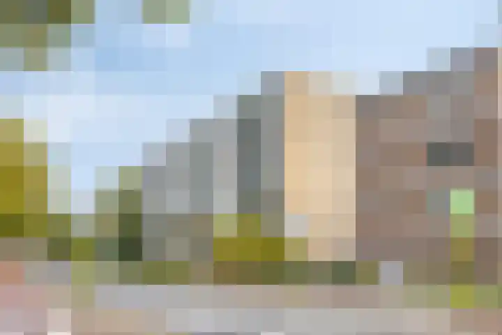 Wilgenhoek 43 Capelle aan den IJssel thumbnail 8