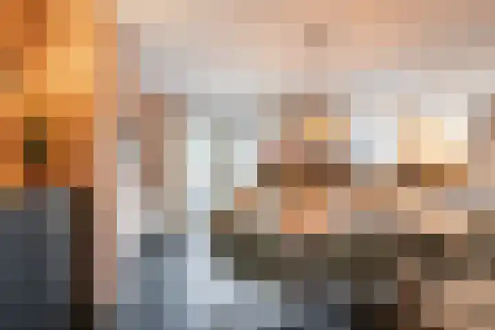 Wilgenhoek 51 Vroomshoop thumbnail 12