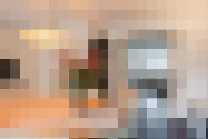 Wilgenhoek 51 Vroomshoop thumbnail 14