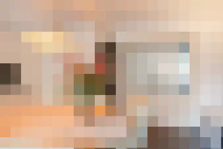 Wilgenhoek 51 Vroomshoop thumbnail 15
