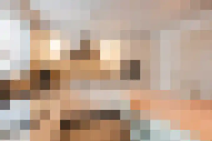 Wilgenhoek 51 Vroomshoop thumbnail 16