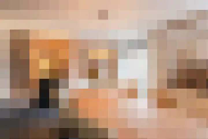 Wilgenhoek 51 Vroomshoop thumbnail 18