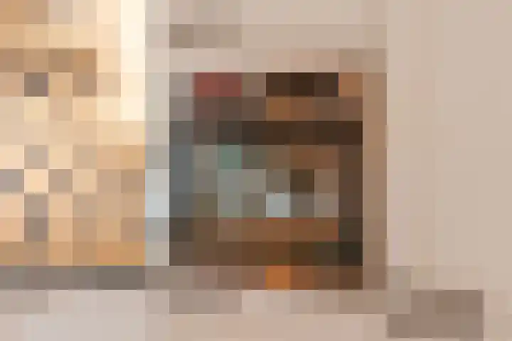 Wilgenhoek 51 Vroomshoop thumbnail 20
