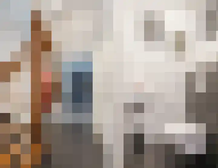 Wilgenhoek 51 Vroomshoop thumbnail 21