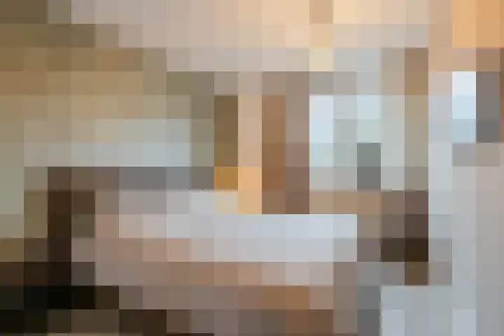 Wilgenhoek 51 Vroomshoop thumbnail 22