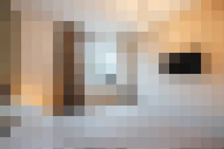 Wilgenhoek 51 Vroomshoop thumbnail 23