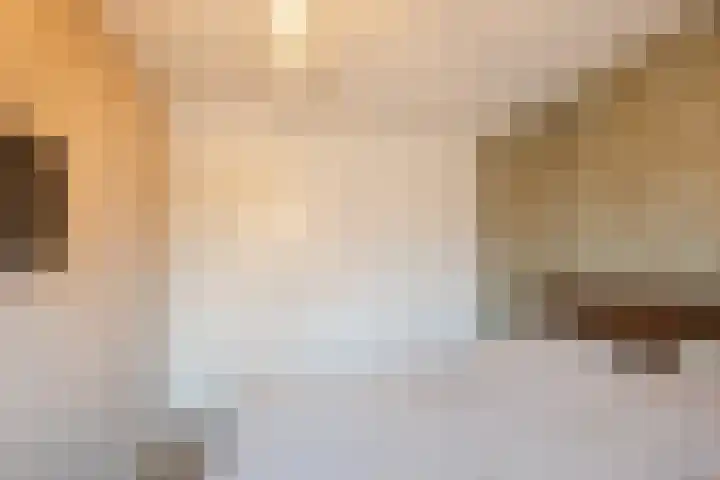 Wilgenhoek 51 Vroomshoop thumbnail 24