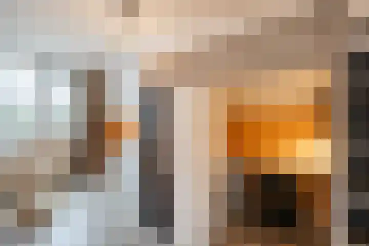 Wilgenhoek 51 Vroomshoop thumbnail 25