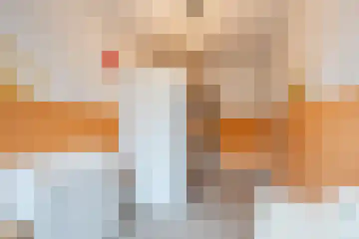 Wilgenhoek 51 Vroomshoop thumbnail 27
