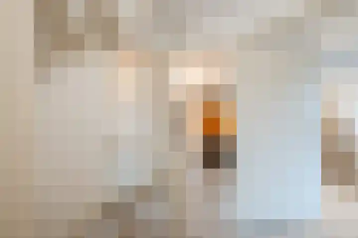 Wilgenhoek 51 Vroomshoop thumbnail 30