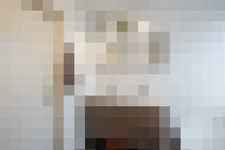 Wilgenhoek 51 Vroomshoop thumbnail 31