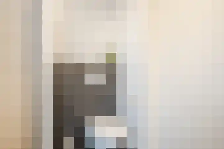 Wilgenhoek 51 Vroomshoop thumbnail 32