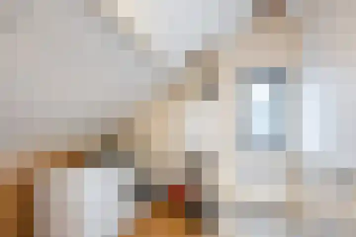 Wilgenhoek 51 Vroomshoop thumbnail 35