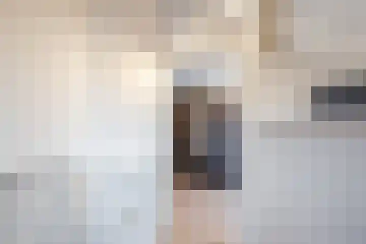 Wilgenhoek 51 Vroomshoop thumbnail 36