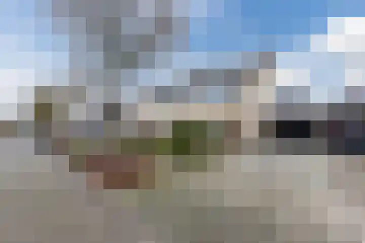 Wilgenhoek 51 Vroomshoop thumbnail 37