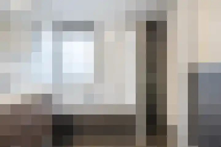 Wilgenhoek 51 Vroomshoop thumbnail 4