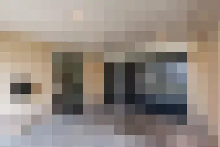 Wilgenhoek 51 Vroomshoop thumbnail 40