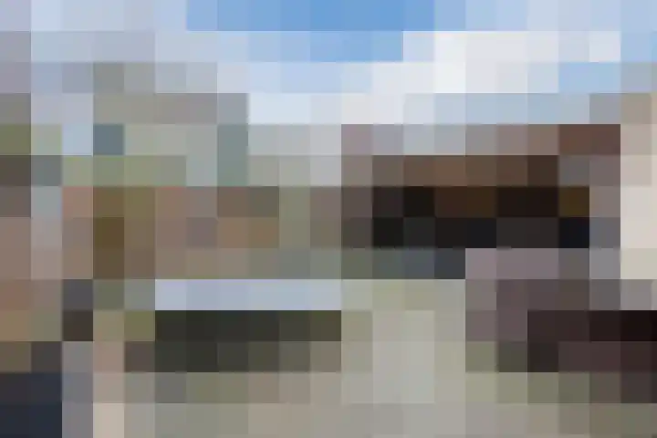Wilgenhoek 51 Vroomshoop thumbnail 44