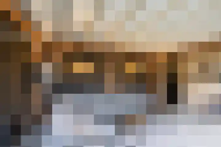 Wilgenhoek 51 Vroomshoop thumbnail 47
