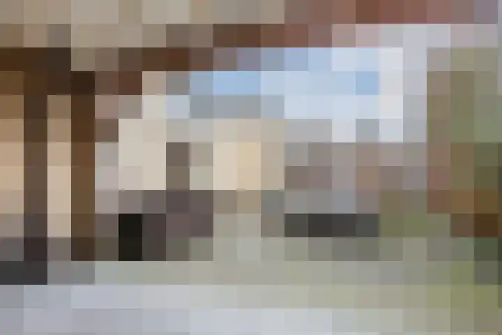 Wilgenhoek 51 Vroomshoop thumbnail 49