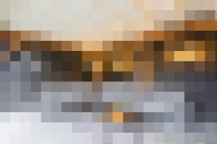 Wilgenhoek 51 Vroomshoop thumbnail 5