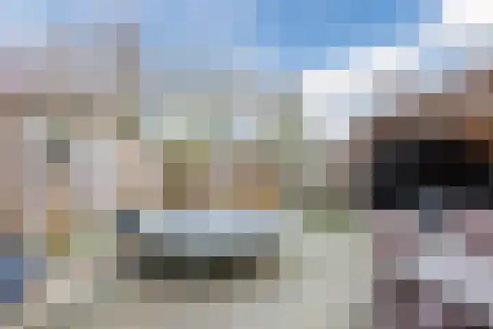 Wilgenhoek 51 Vroomshoop thumbnail 50