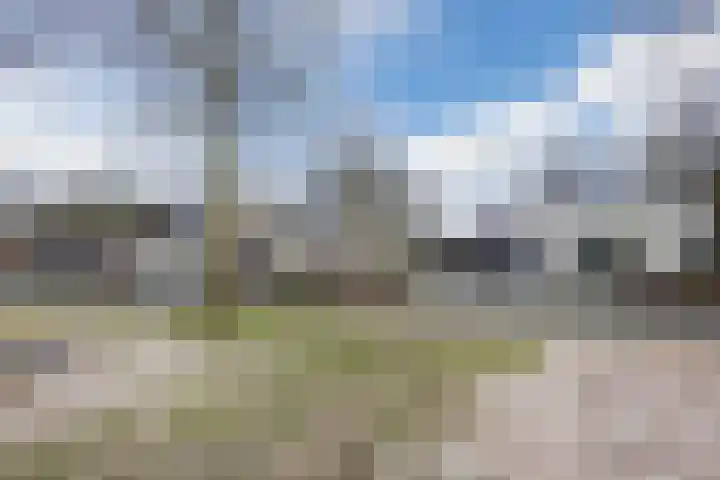 Wilgenhoek 51 Vroomshoop thumbnail 51