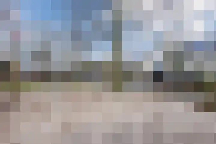 Wilgenhoek 51 Vroomshoop thumbnail 52