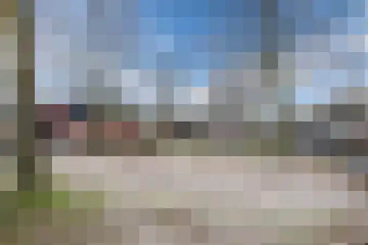 Wilgenhoek 51 Vroomshoop thumbnail 53