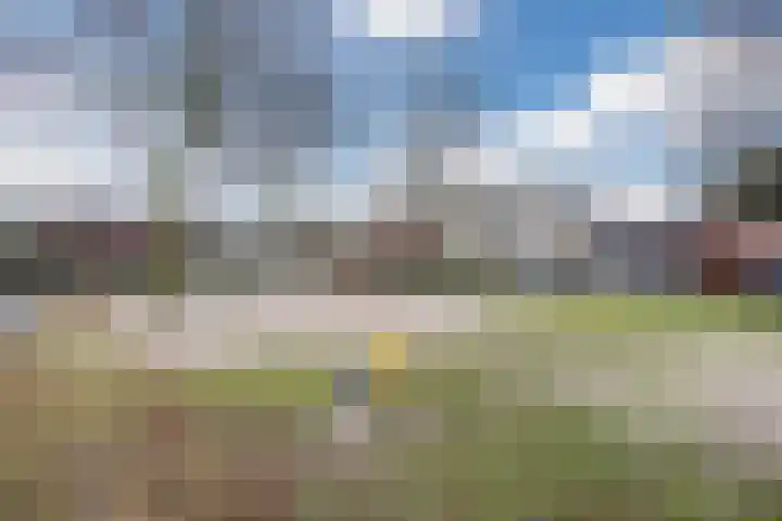 Wilgenhoek 51 Vroomshoop thumbnail 54