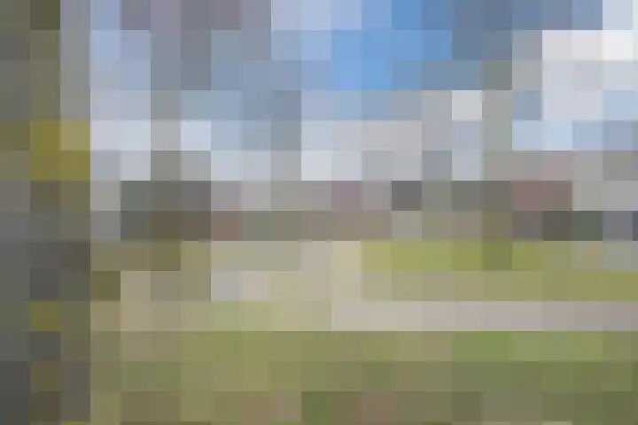 Wilgenhoek 51 Vroomshoop thumbnail 55
