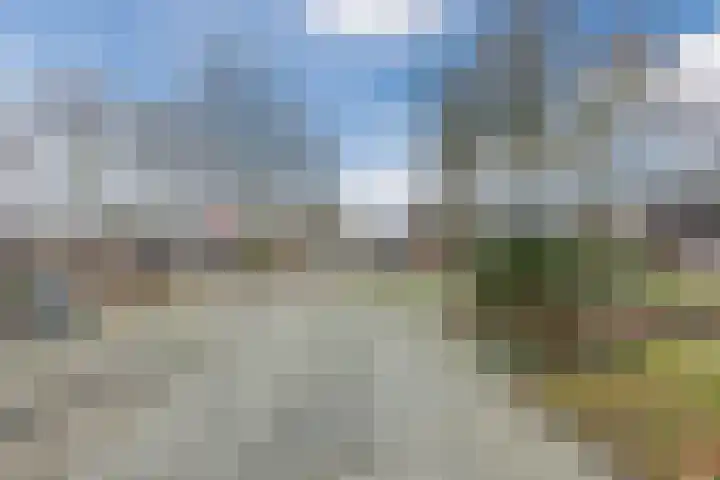 Wilgenhoek 51 Vroomshoop thumbnail 56