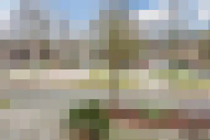 Wilgenhoek 51 Vroomshoop thumbnail 57