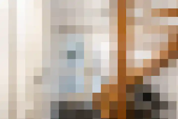 Wilgenhoek 51 Vroomshoop thumbnail 6