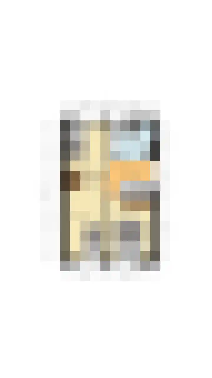 Wilgenhoek 51 Vroomshoop thumbnail 60