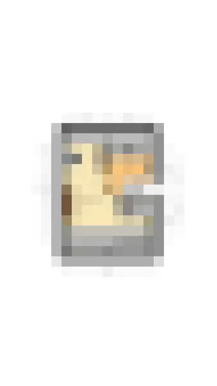 Wilgenhoek 51 Vroomshoop thumbnail 61