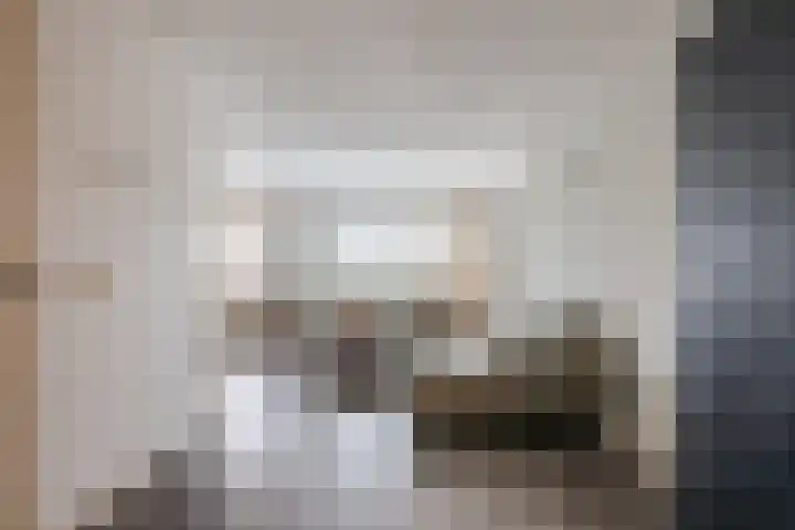 Wilgenhoek 51 Vroomshoop thumbnail 7