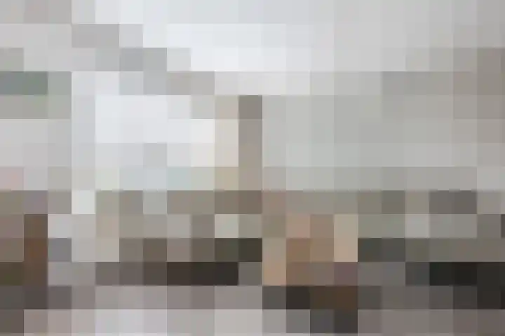 Wilgenhoek 51 Vroomshoop thumbnail 8