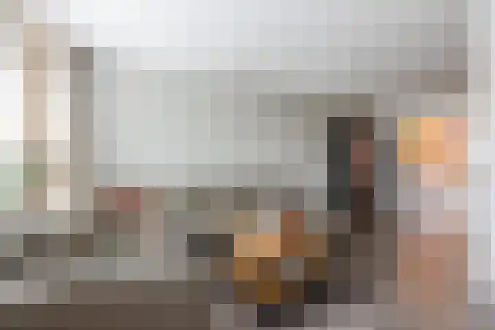 Wilgenhoek 51 Vroomshoop thumbnail 9