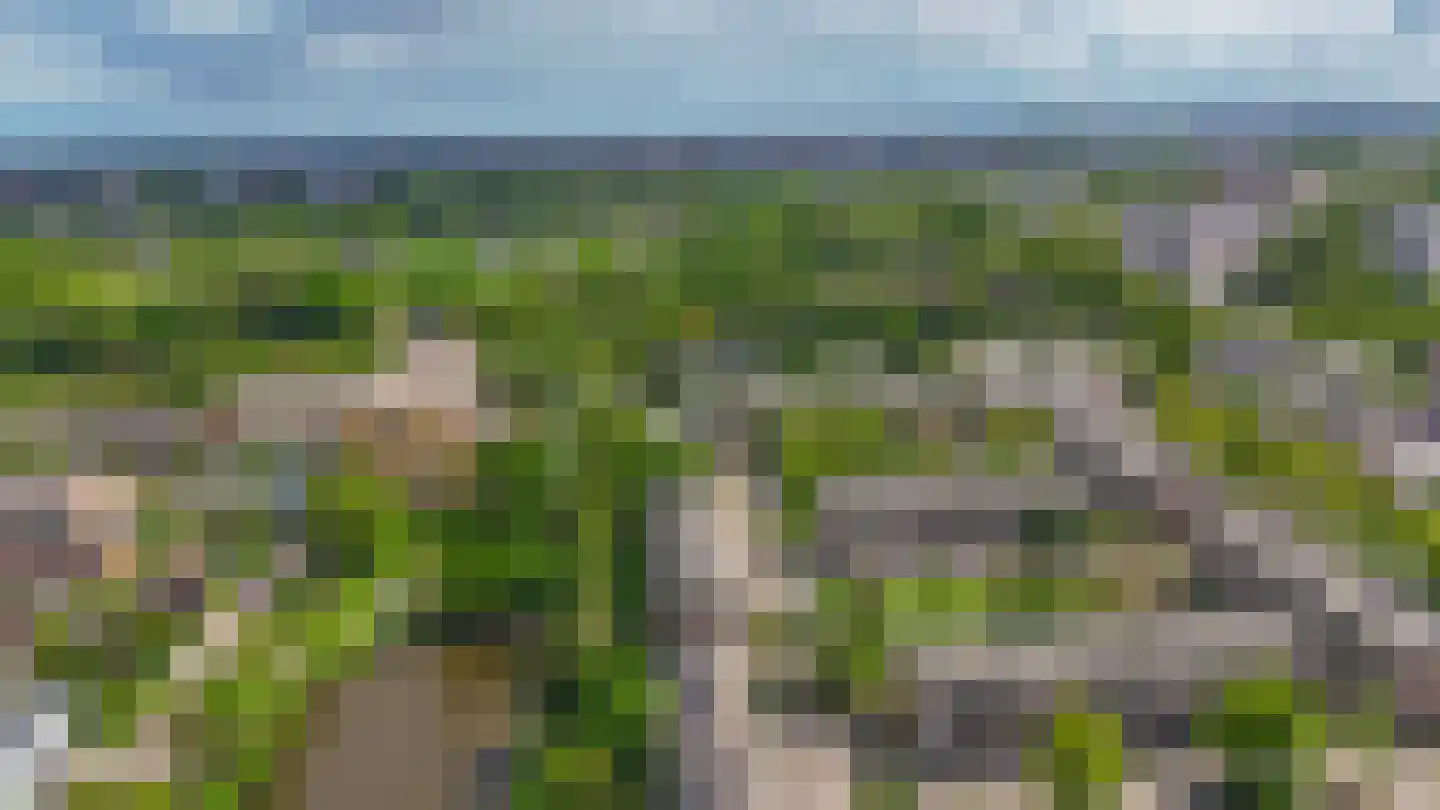 Wilgenhoek 59 Capelle aan den IJssel thumbnail 37