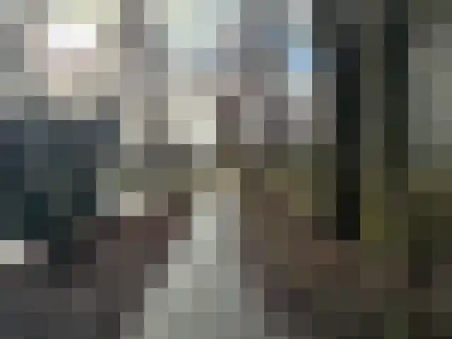 Wilgenhoek 84 Capelle aan den IJssel thumbnail 26