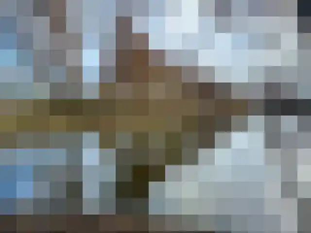 Wilgenhoek 84 Capelle aan den IJssel thumbnail 27