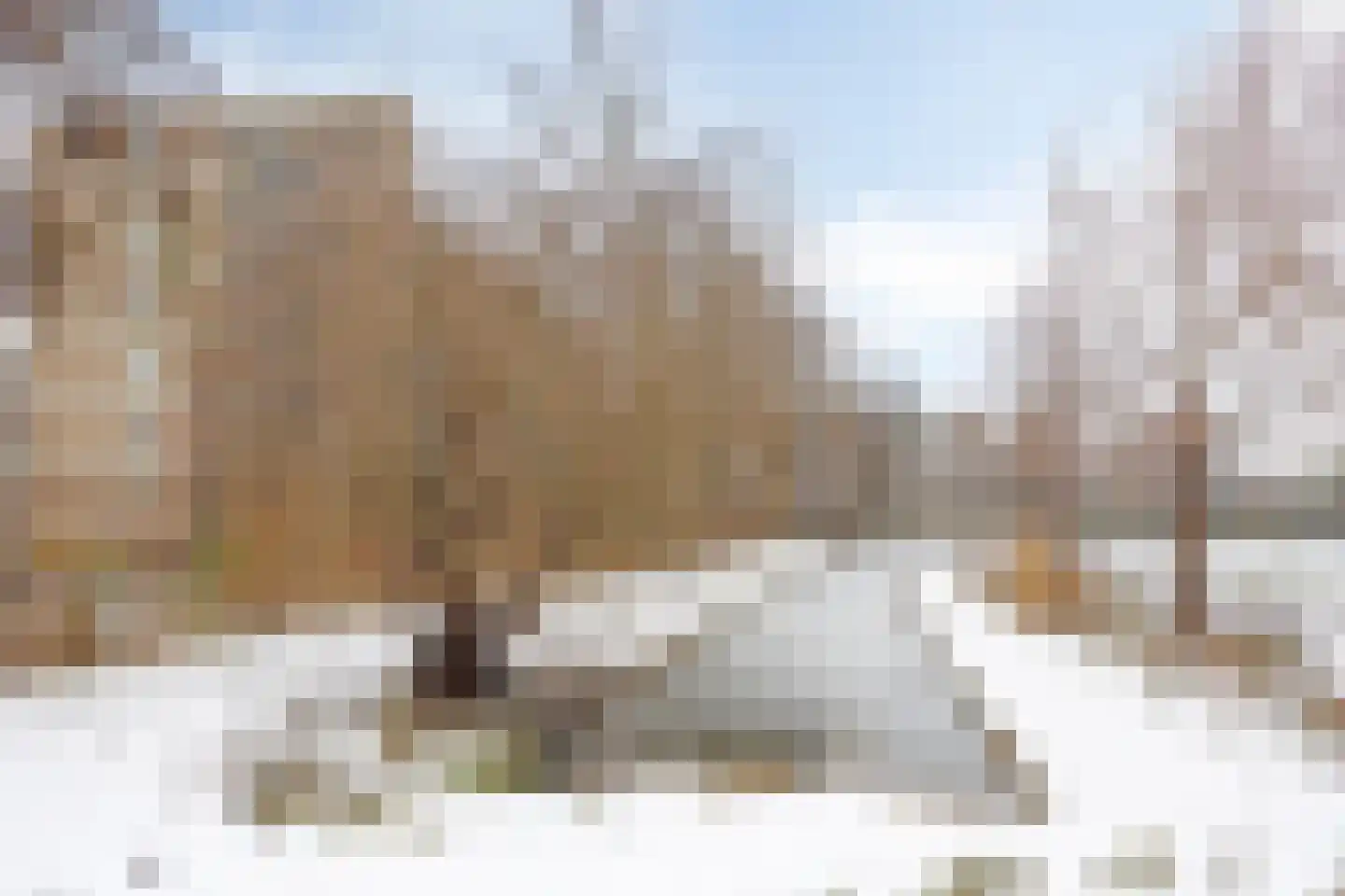 Wilgenhoek 97 Capelle aan den IJssel thumbnail 29