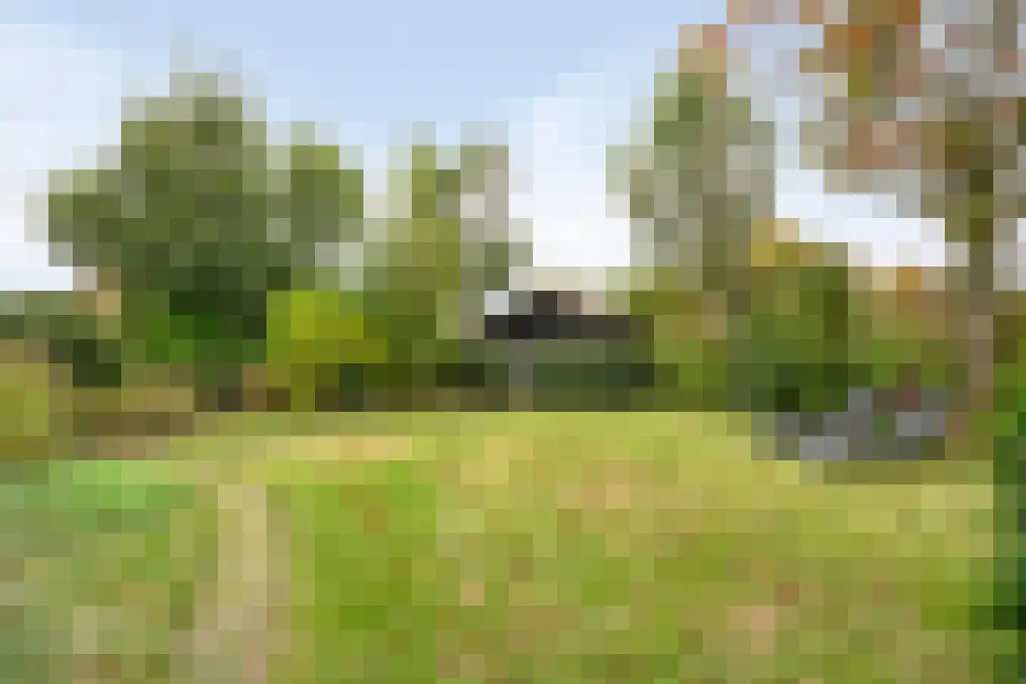 Wilgenhoekweg 36 Serooskerke thumbnail 21