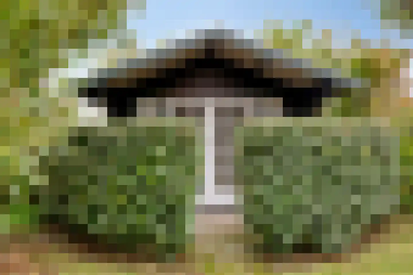 Wilgenhoekweg 36 Serooskerke thumbnail 23