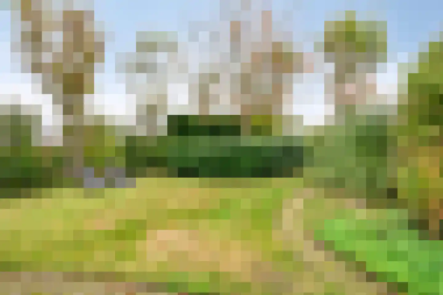 Wilgenhoekweg 36 Serooskerke thumbnail 24