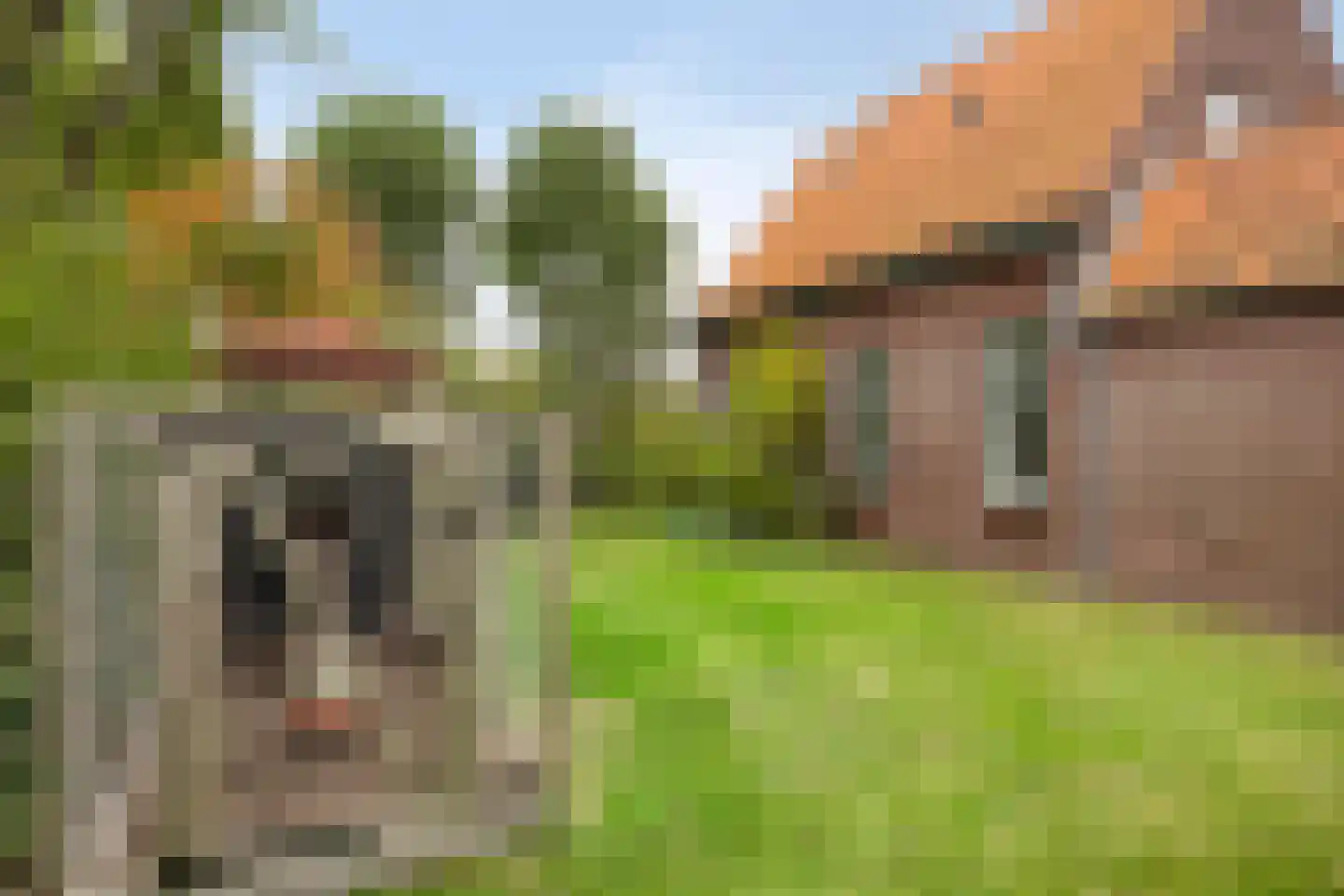 Wilgenhoekweg 36 Serooskerke thumbnail 26